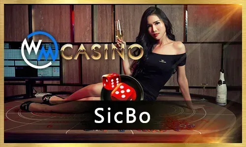 Bingoplus Live Dealer Casino Games